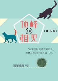 頂峰相見[娛樂圈]